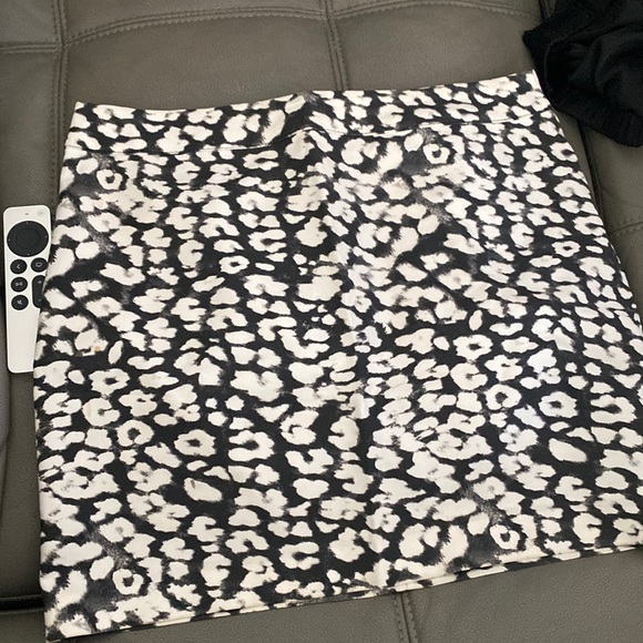 Skirt - Picture 1 of 1